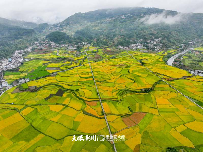 913310-2025年9月10日拍摄的贵州省开阳县禾丰乡马头村田园景色。.jpg