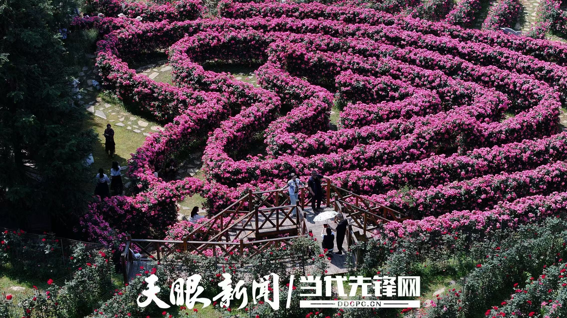微信图片_20250914185425_311_61.jpg
