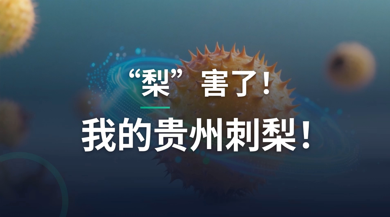 刺梨封面.png
