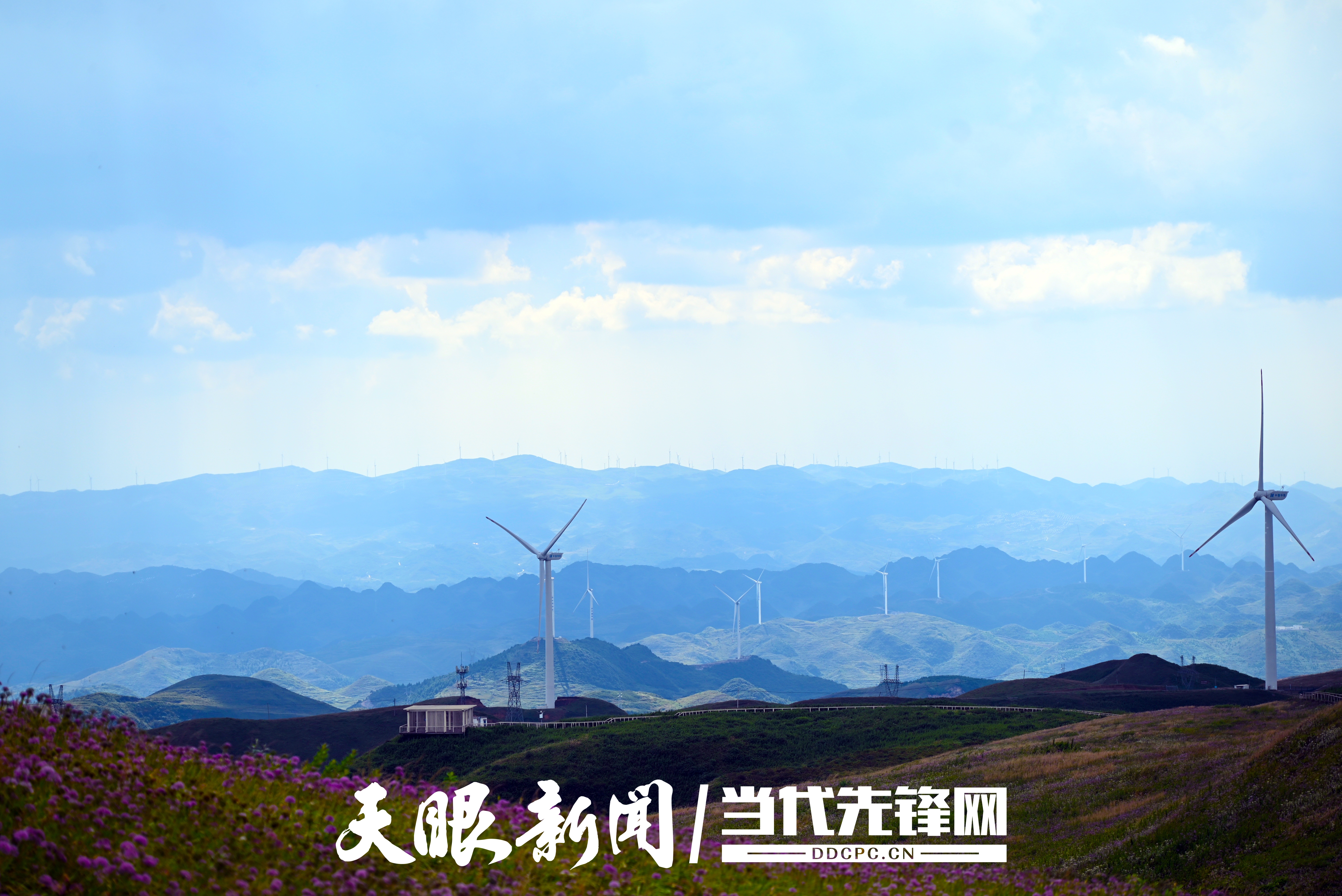 微信图片_2025-08-15_080050_193.jpg