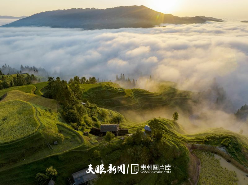 908746-2025年8月28日，在贵州省从江县东朗镇摆里村拍摄的梯田（无人机照片）。.jpg