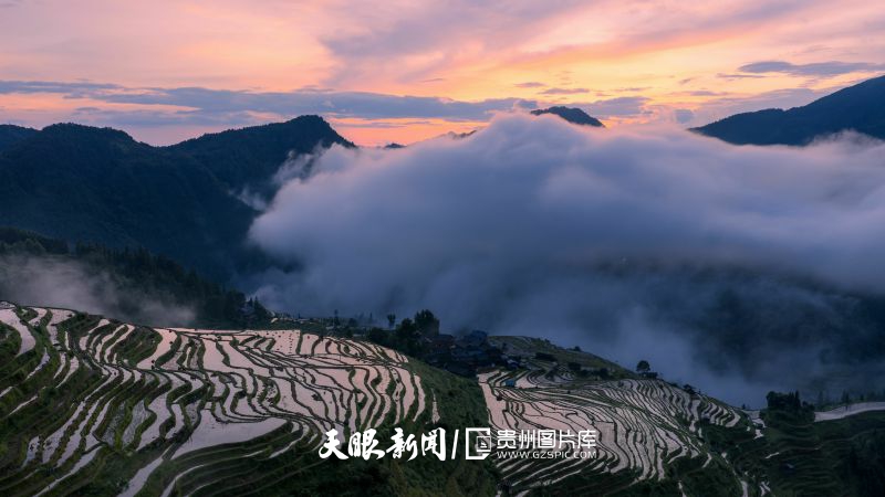 915353-2025年9月11日，贵州省黔东南苗族侗族自治州从江县加榜梯田、苗寨、青山在云雾中若隐若现，构成一幅美丽的乡村田园画卷。.jpg