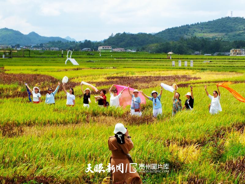 915223-图为2025年9月16日，游人在稻田画中拍照。.jpg