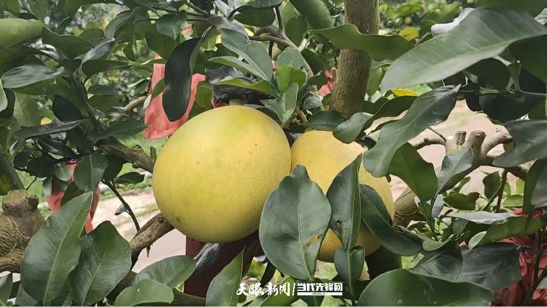 微信图片_20241111141404~1.jpg