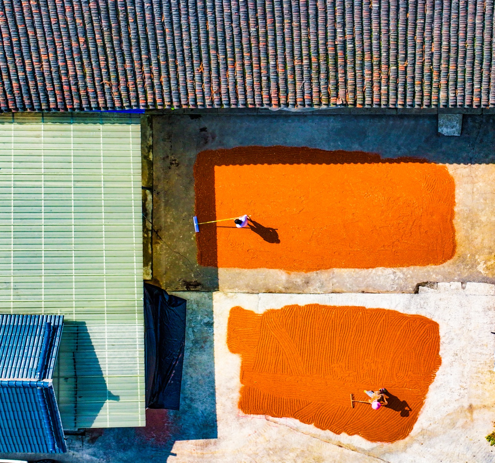 DJI_0973.JPG
