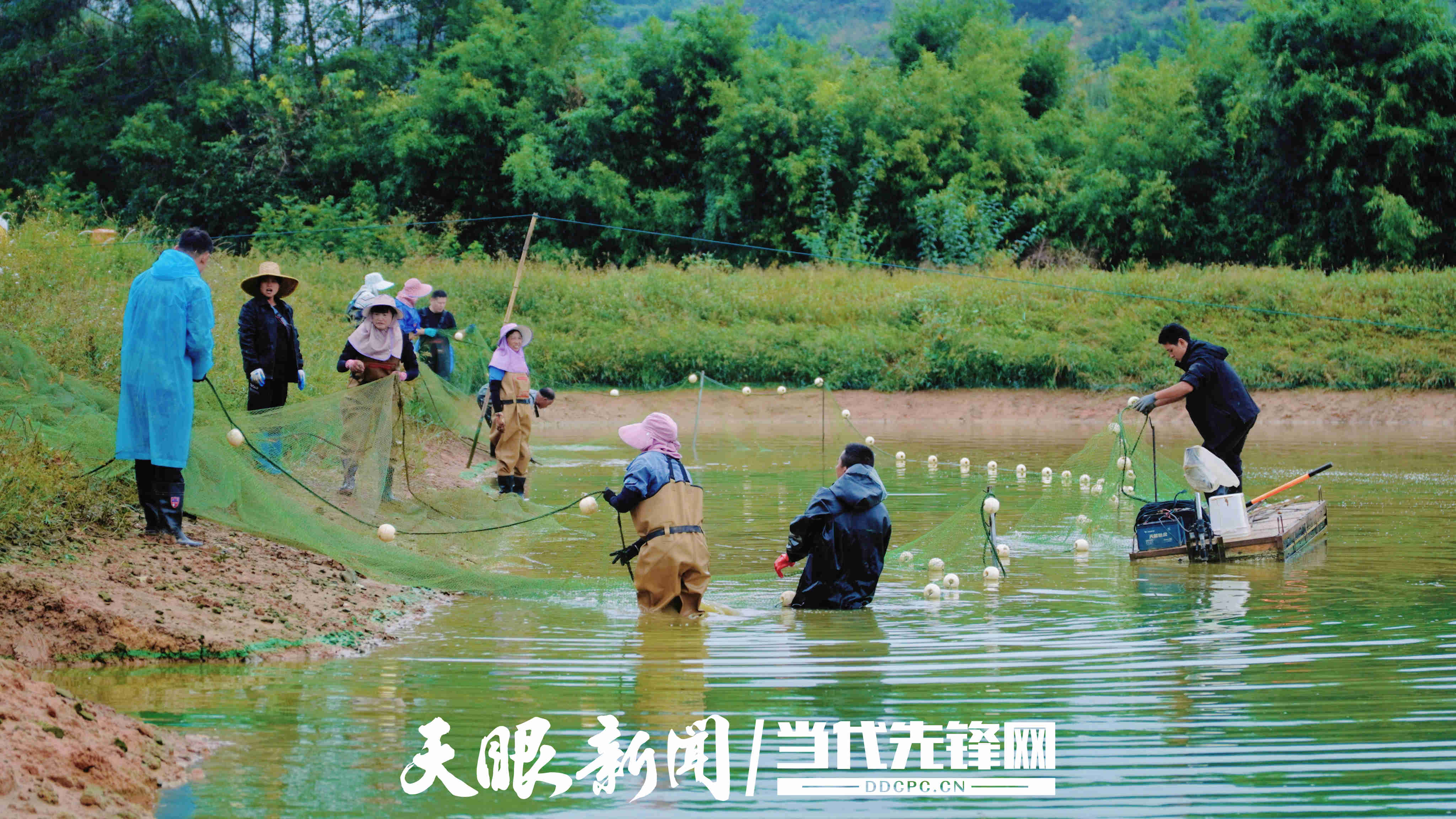 微信图片_20250924211723_855_54.jpg
