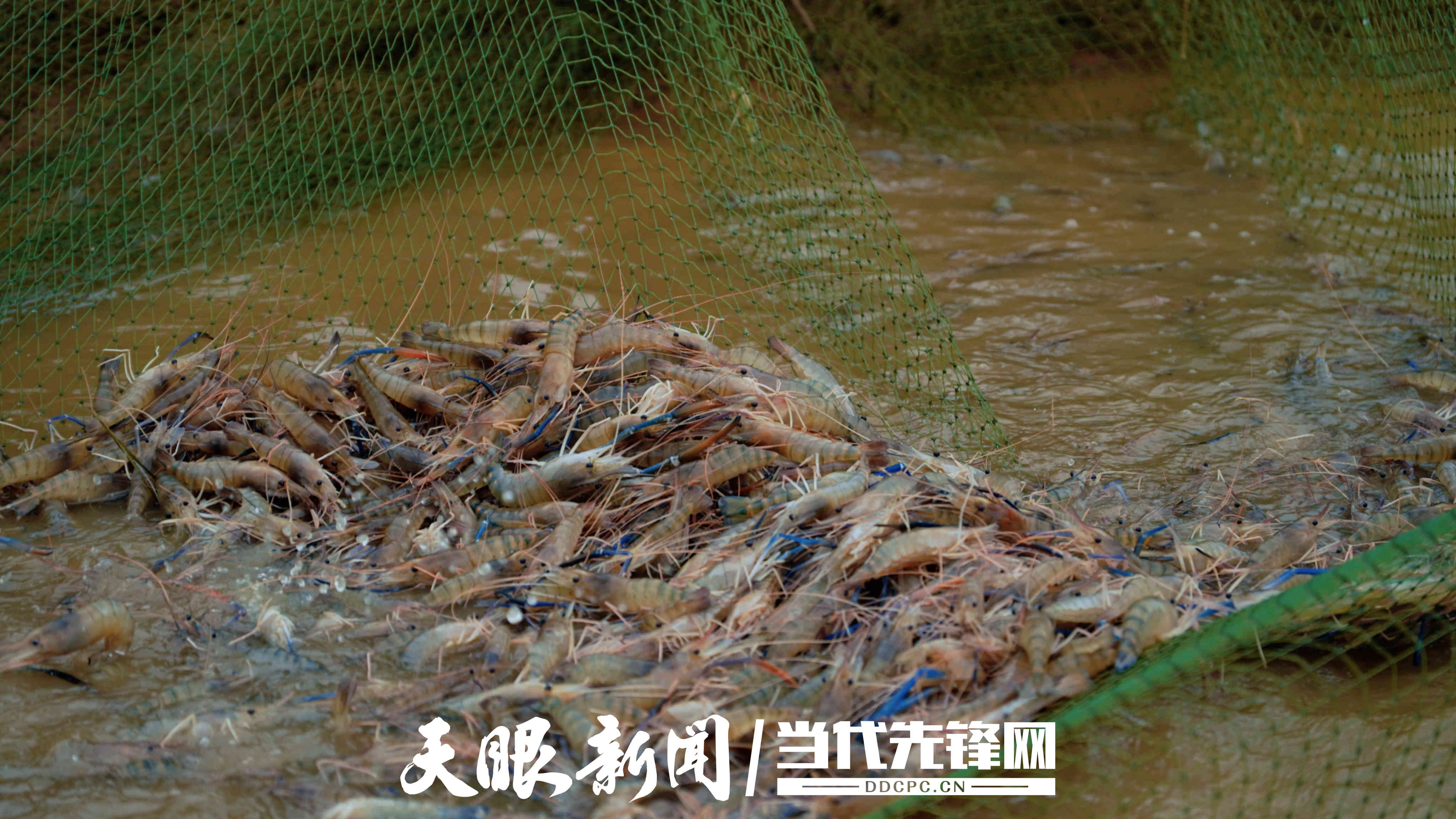微信图片_20250924211719_852_54.jpg