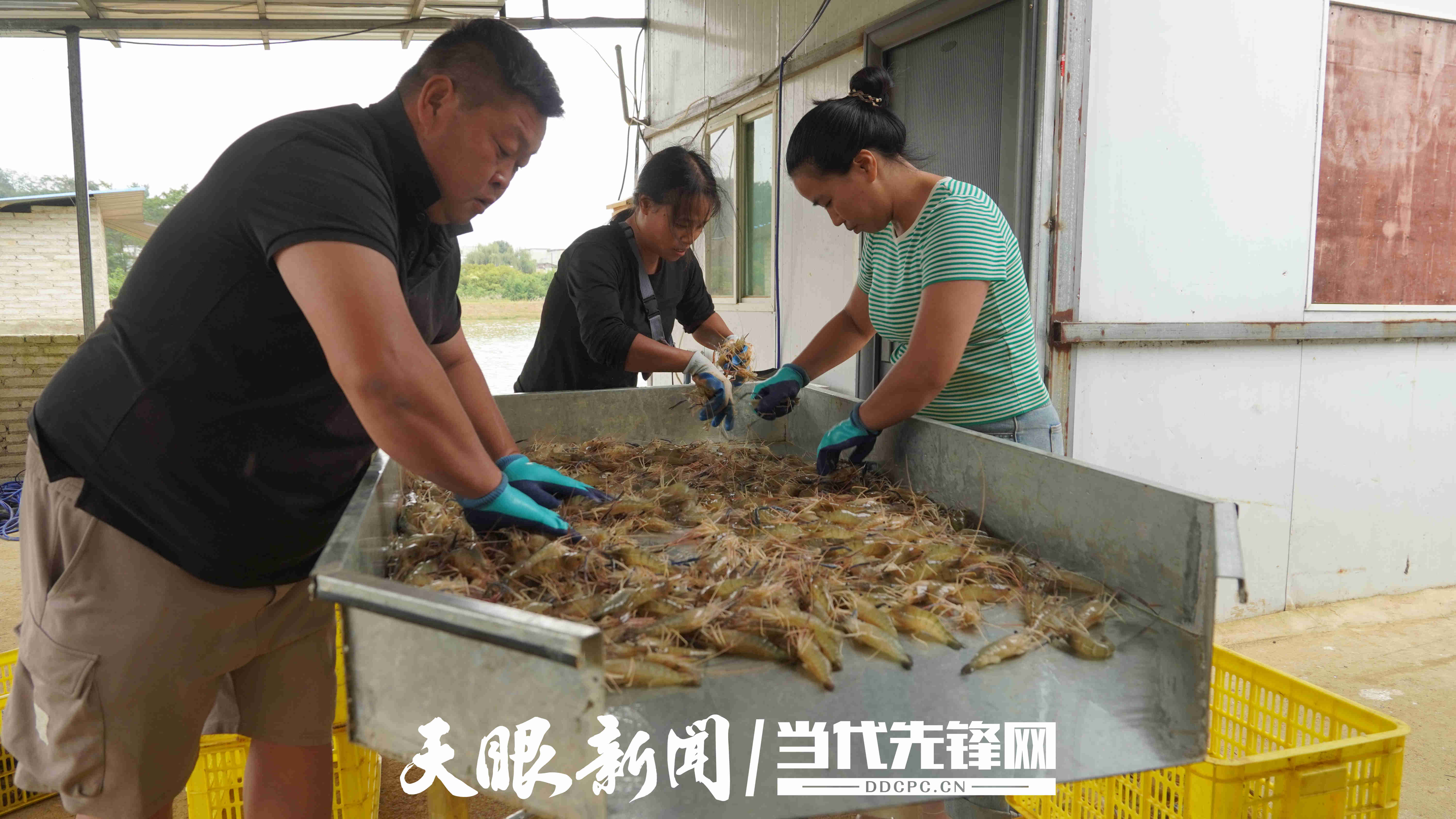 微信图片_20250924211722_854_54.jpg