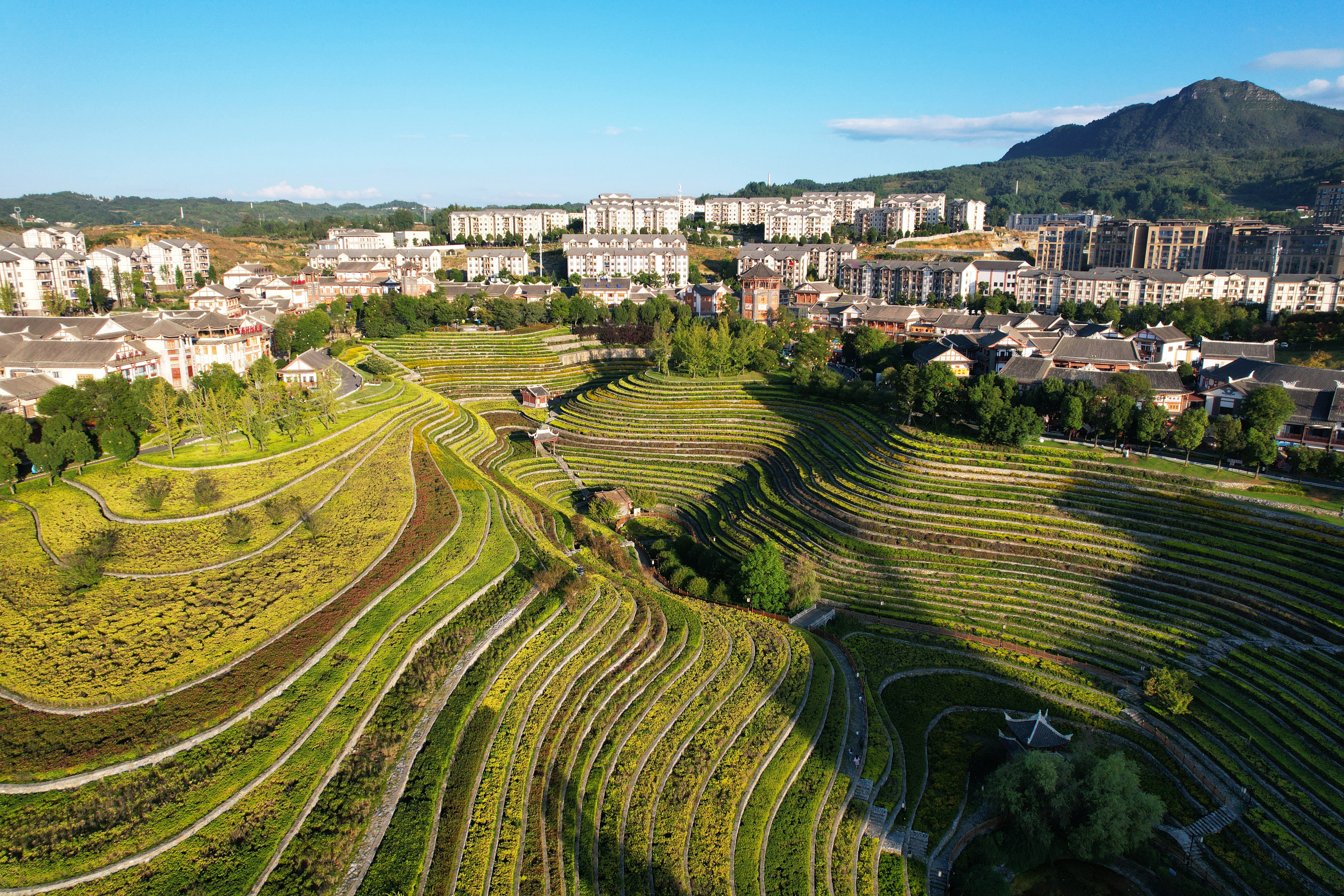 DJI_0194.JPG