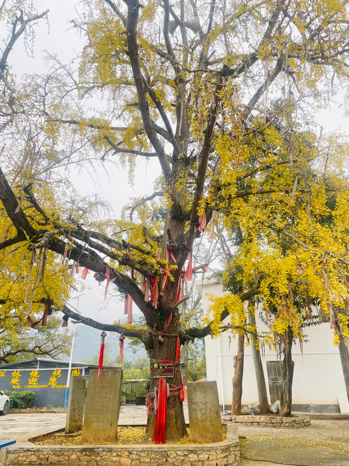 微信图片_2025-08-05_180452_887.jpg