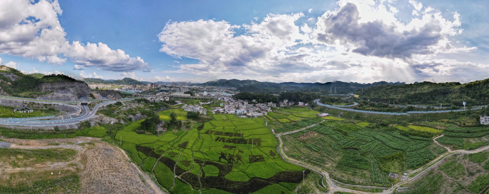麻抹社区彩稻基地，绘制栽种出一幅纪念深河桥抗战的壮丽画卷。.jpg
