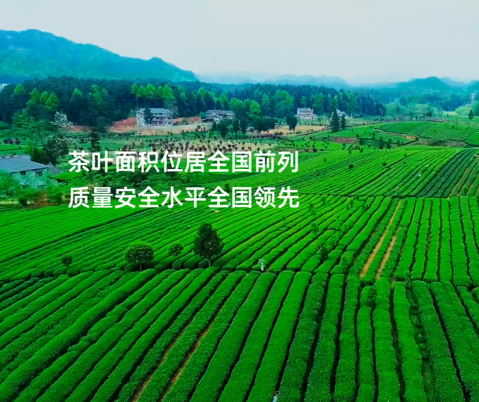 1dd2e6ca53ed70f81258ead947d8171.png