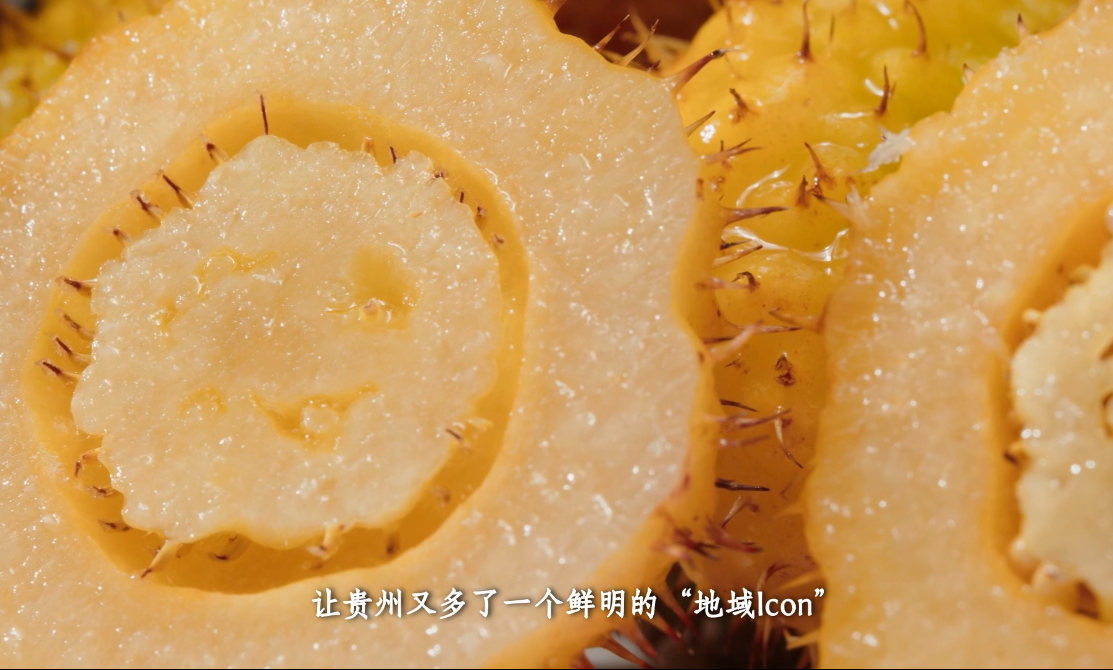 018cf7c016e5de31d9d9b5fce5f797b.png