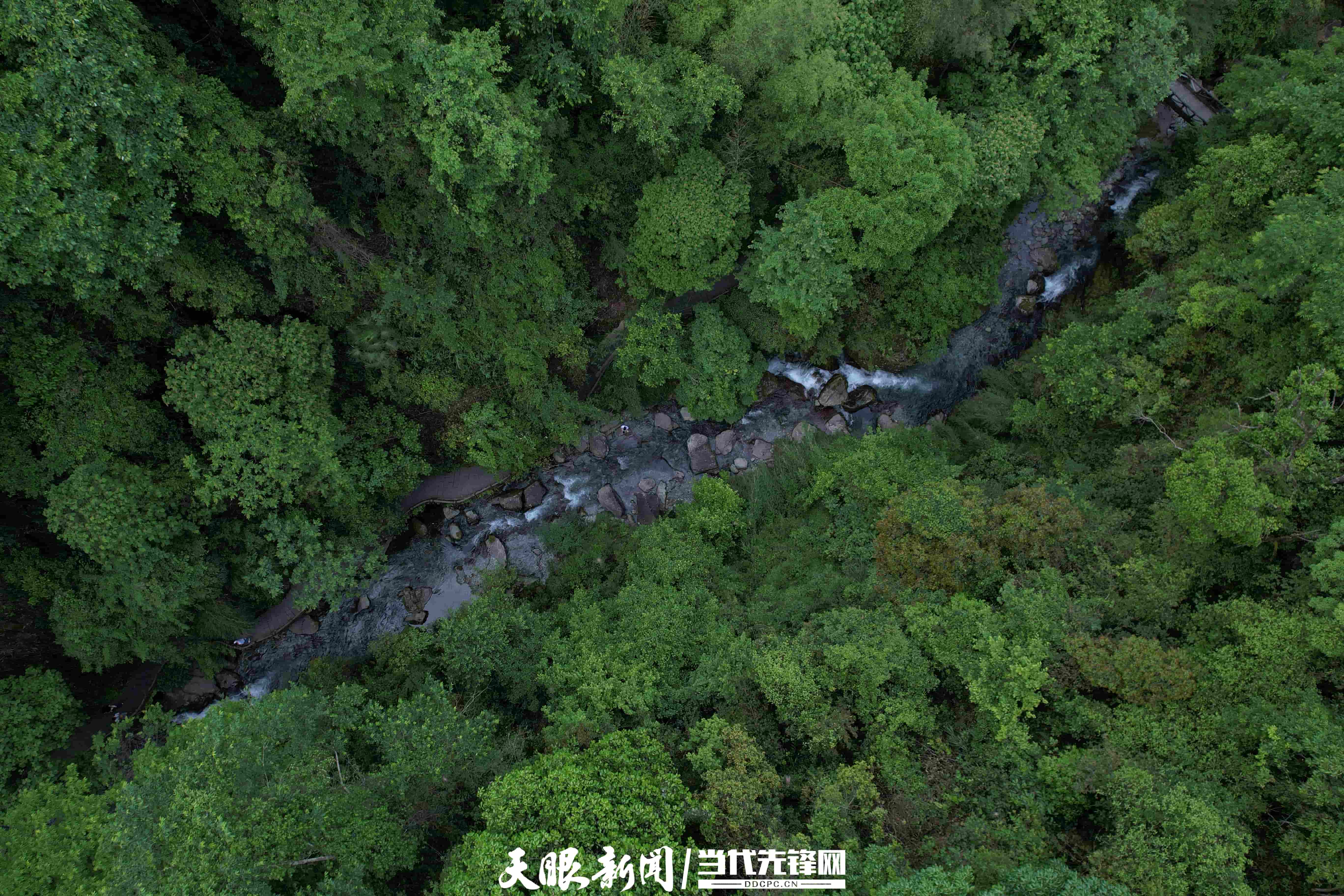 DJI_0124.jpg