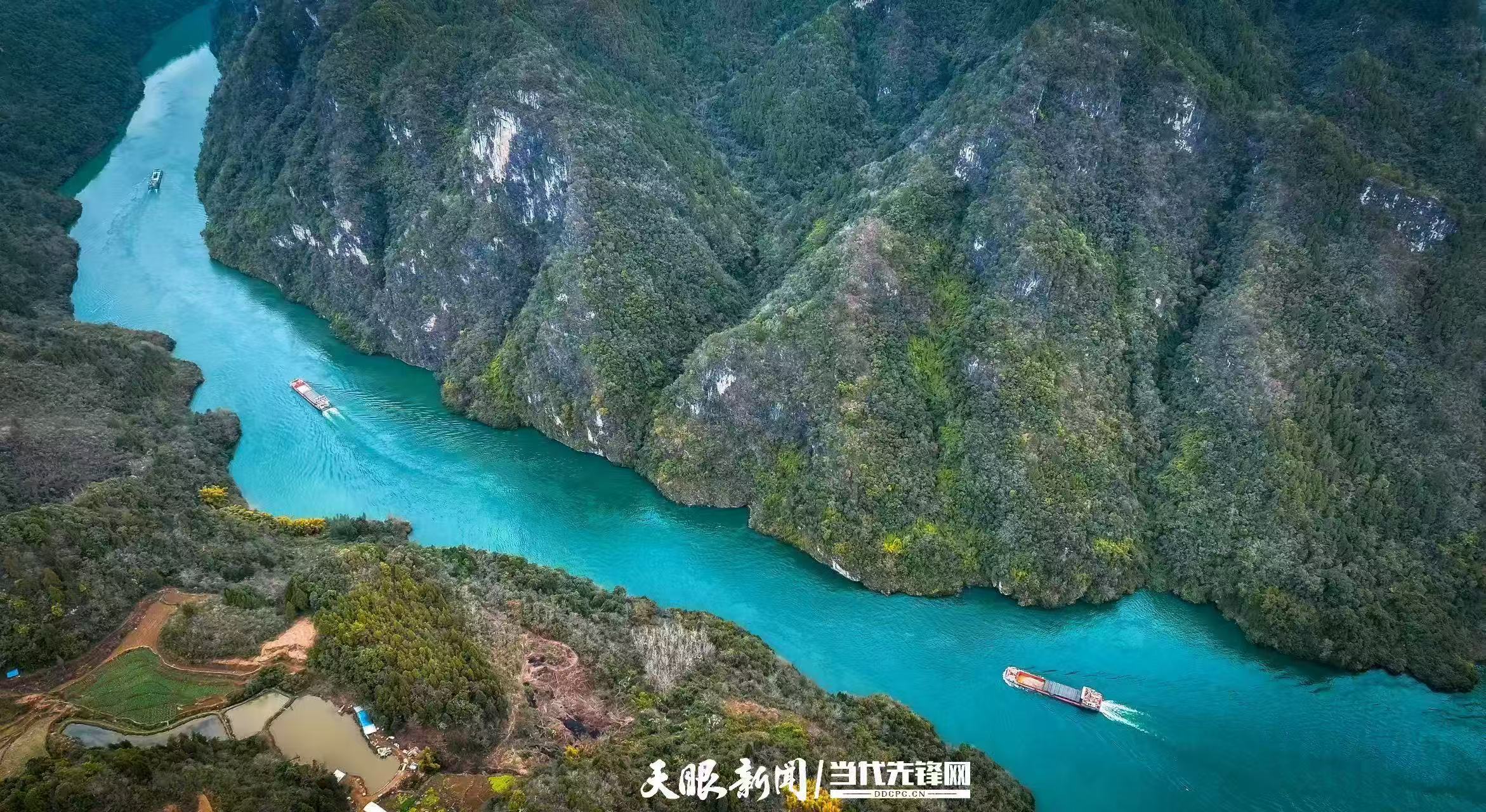 微信图片_20260731084515_2288_61.jpg