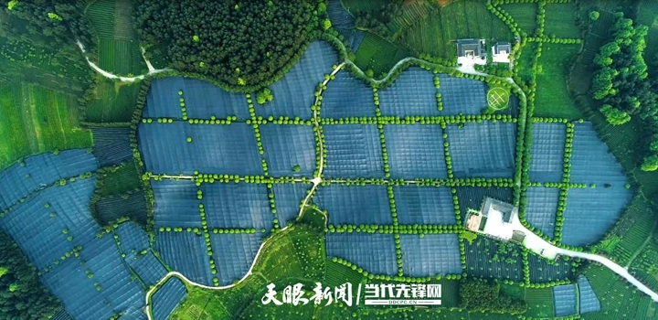 dD0xNzY1NzYyODA4X3I9MzA5NGZiZGFfdz03MjBfcT0xMDBfZT1qcGc=.webp mmexport1765761109248.jpg