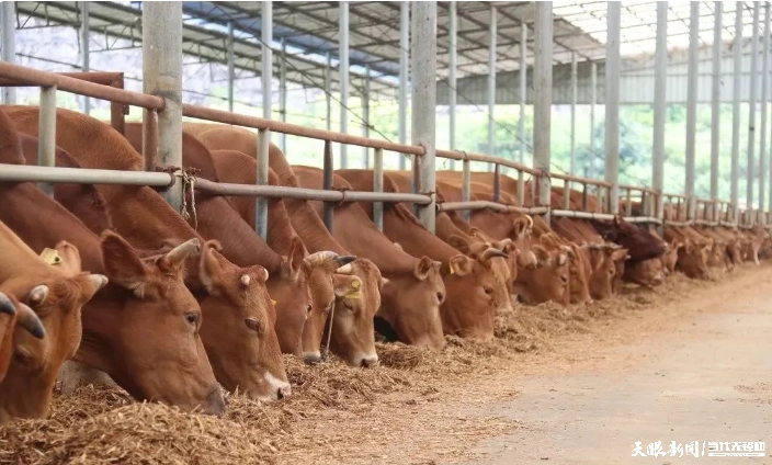 1694685711495998.png 微信截图_20230914180140.png