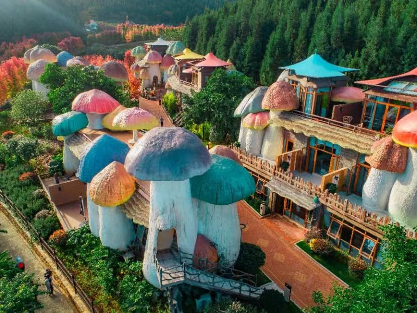 dD0xNzcyMjM5MjIwX3I9M2Y4NmY1ODlfdz04MzBfcT0xMDBfZT1qcGc=.webp 微信图片_20260227125028_930_4.jpg