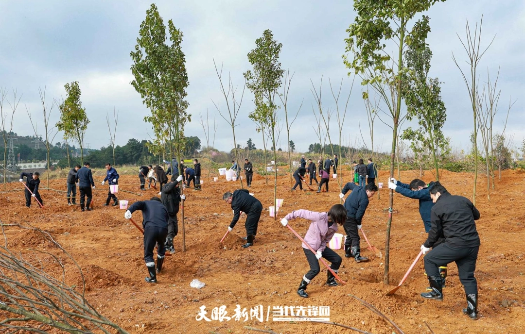 dD0xNzcyMjc2MjkwX3I9ODViYzk1ZjVfdz0xMDgwX3E9MTAwX2U9anBn.webp (审定)78bb6547---- 图为贵阳市双龙航空港经济区小碧乡秦棋村义务植树活动现场。贵州日报天眼新闻记者 林民 摄影.jpg