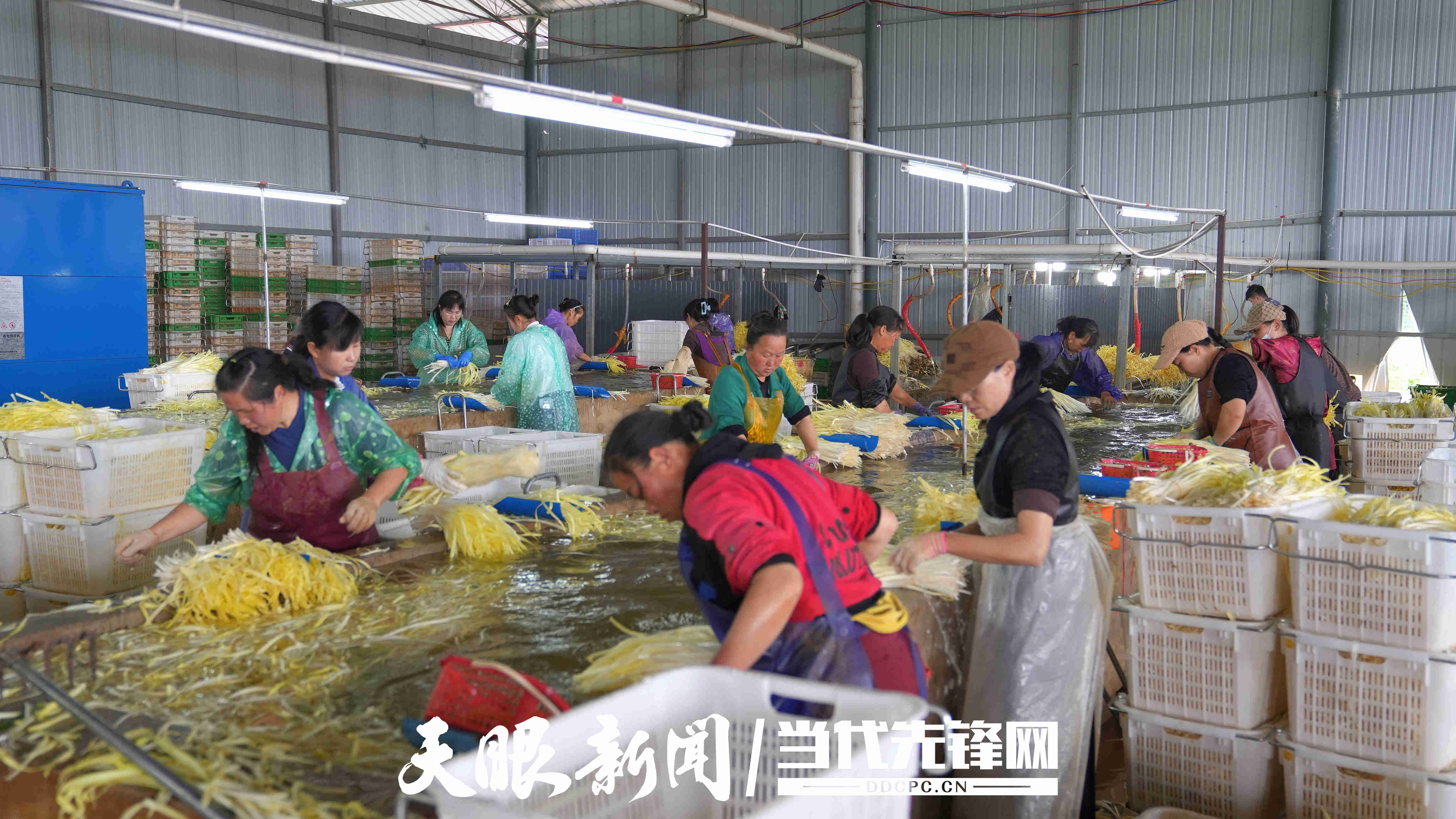 17786661176889.jpg 微信图片_20260513170514_1313_197.jpg