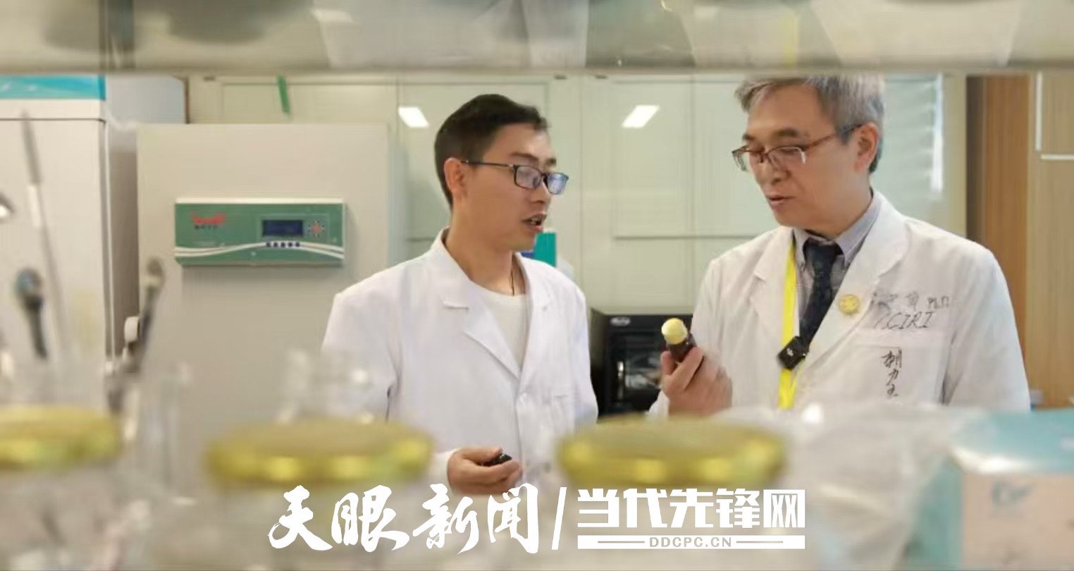 微信图片_20260709141942_2129_61.jpg