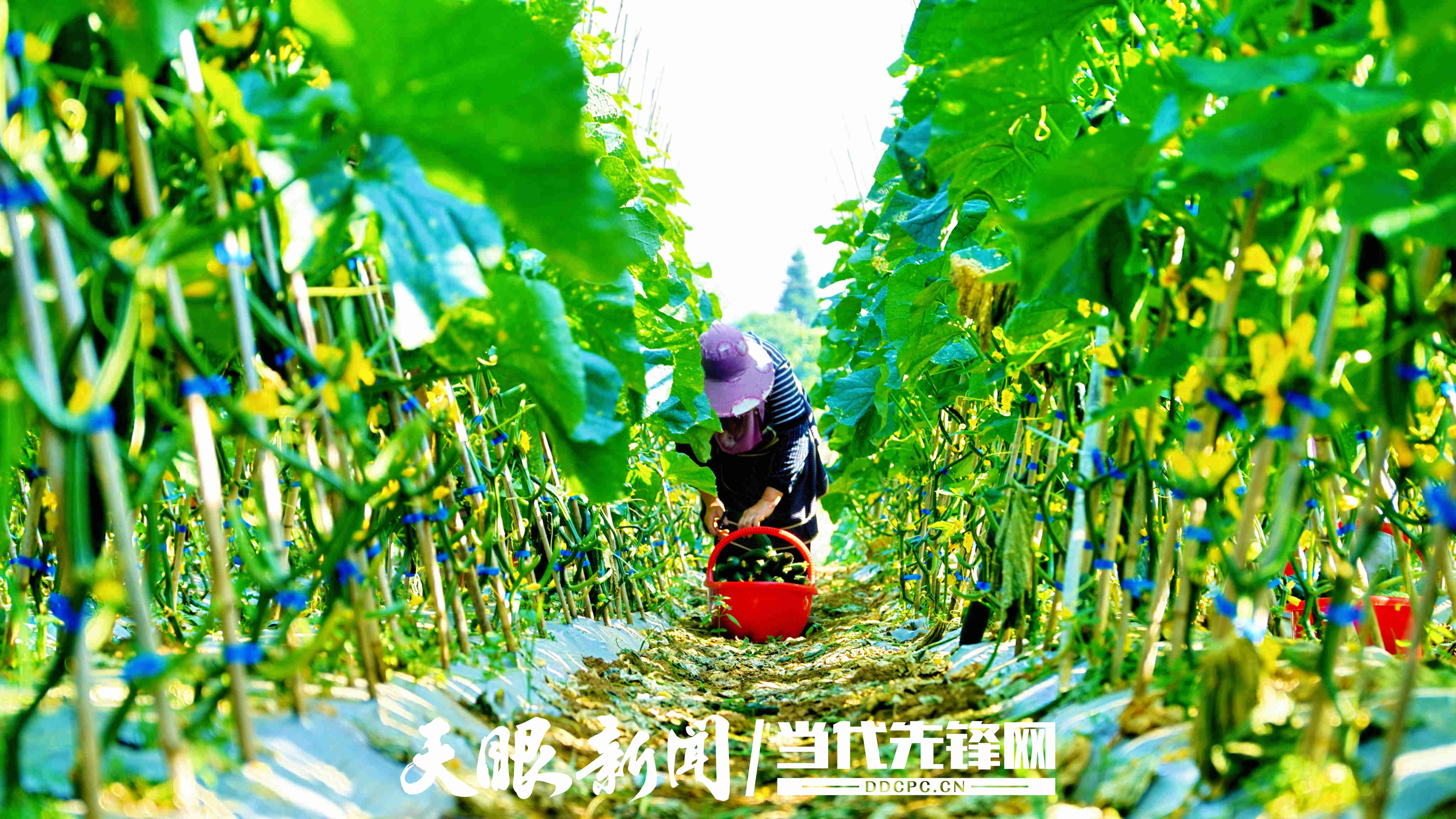 微信图片_20260727165134_4164_54.jpg