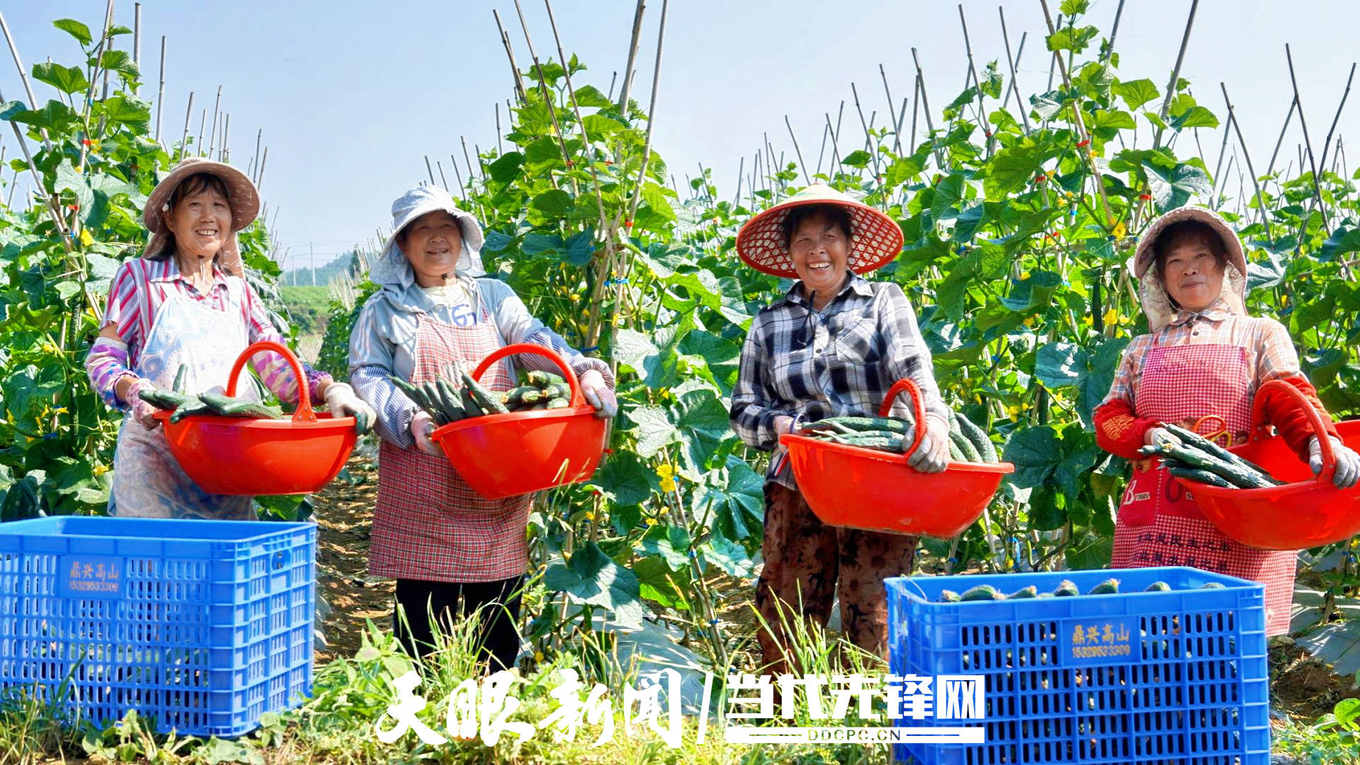 微信图片_20260727165136_4166_54.jpg