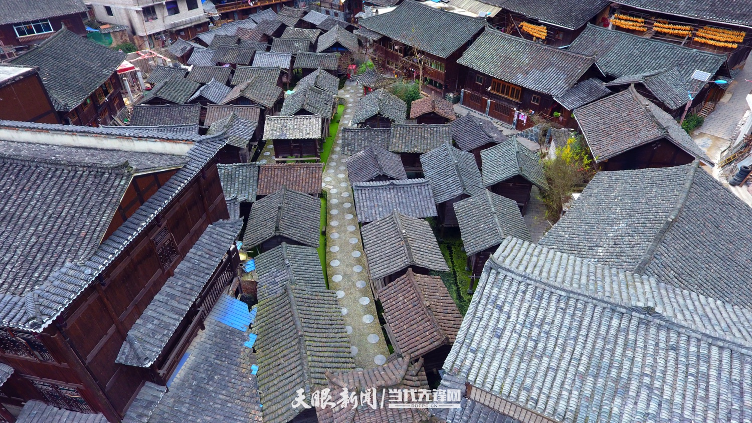 水上粮仓建筑群俯瞰图（周士杰 提供   2022年5月.jpg