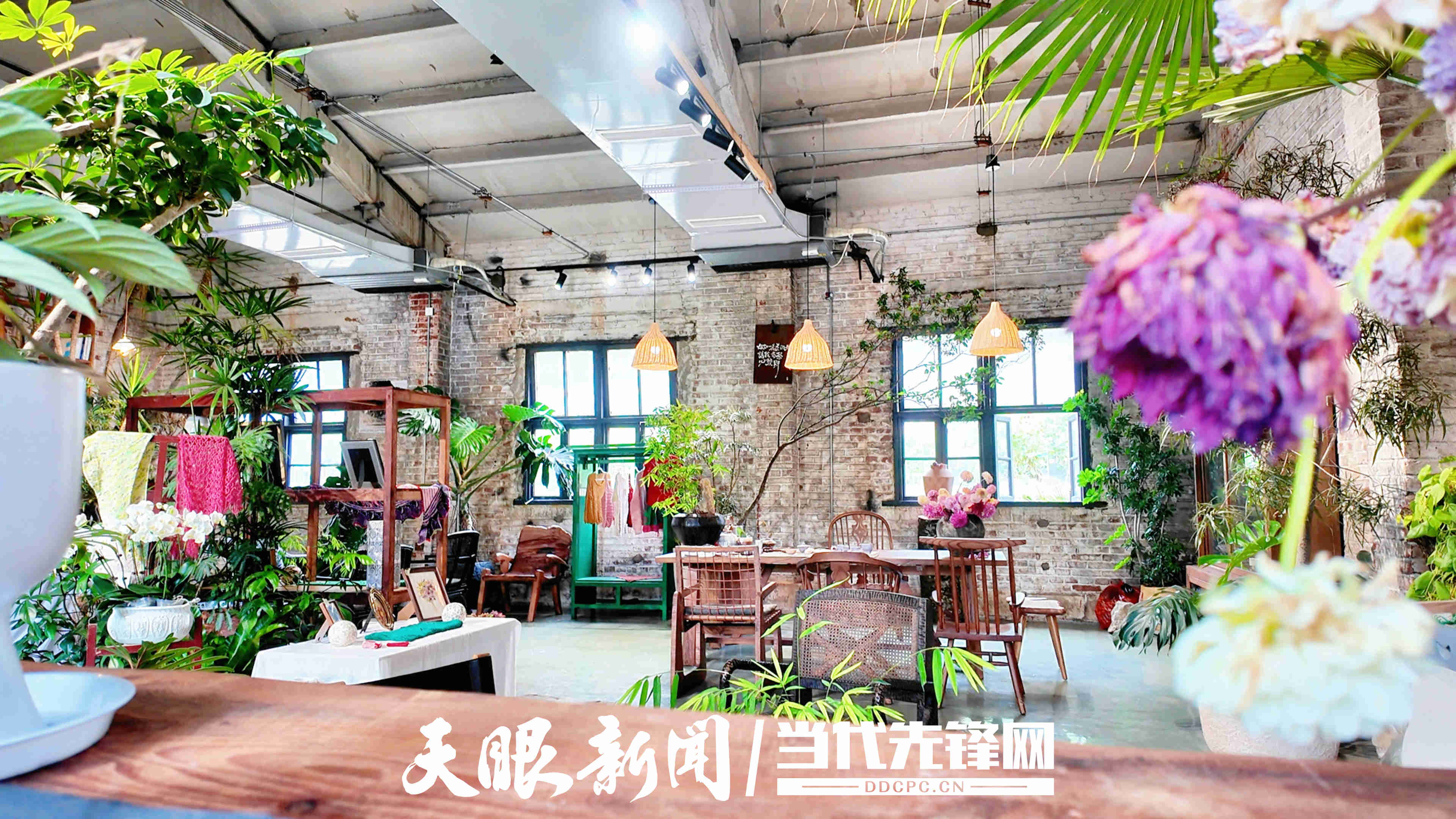17855086103726.jpg 微信图片_20260731223146_15_40.jpg