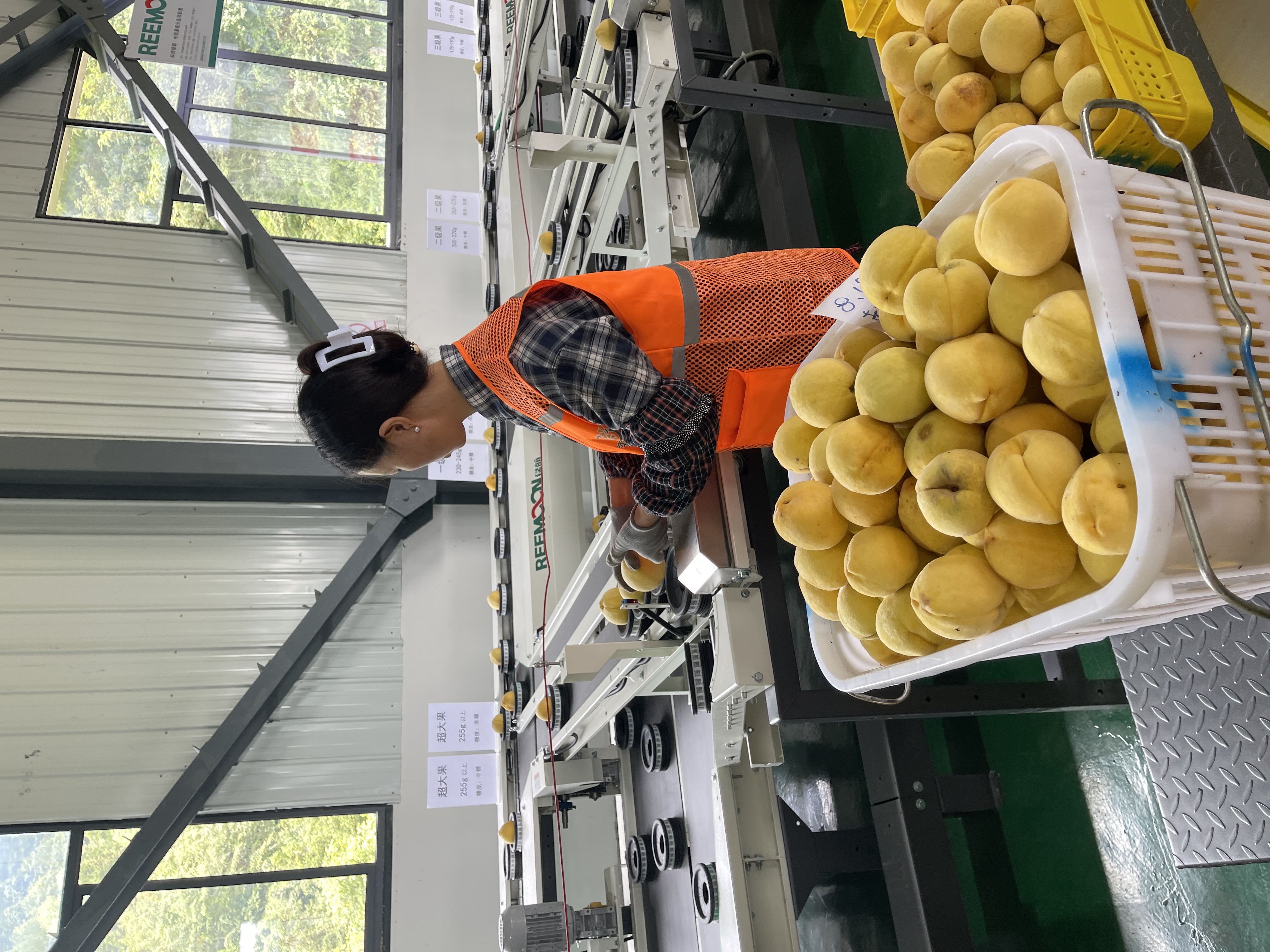 17862503241716.jpg 微信图片_20260807110835_20_288.jpg