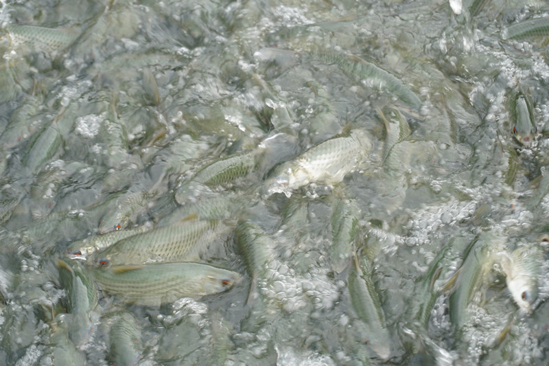 DSC04611_副本.jpg
