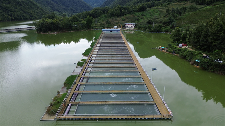 DJI_0143.jpg