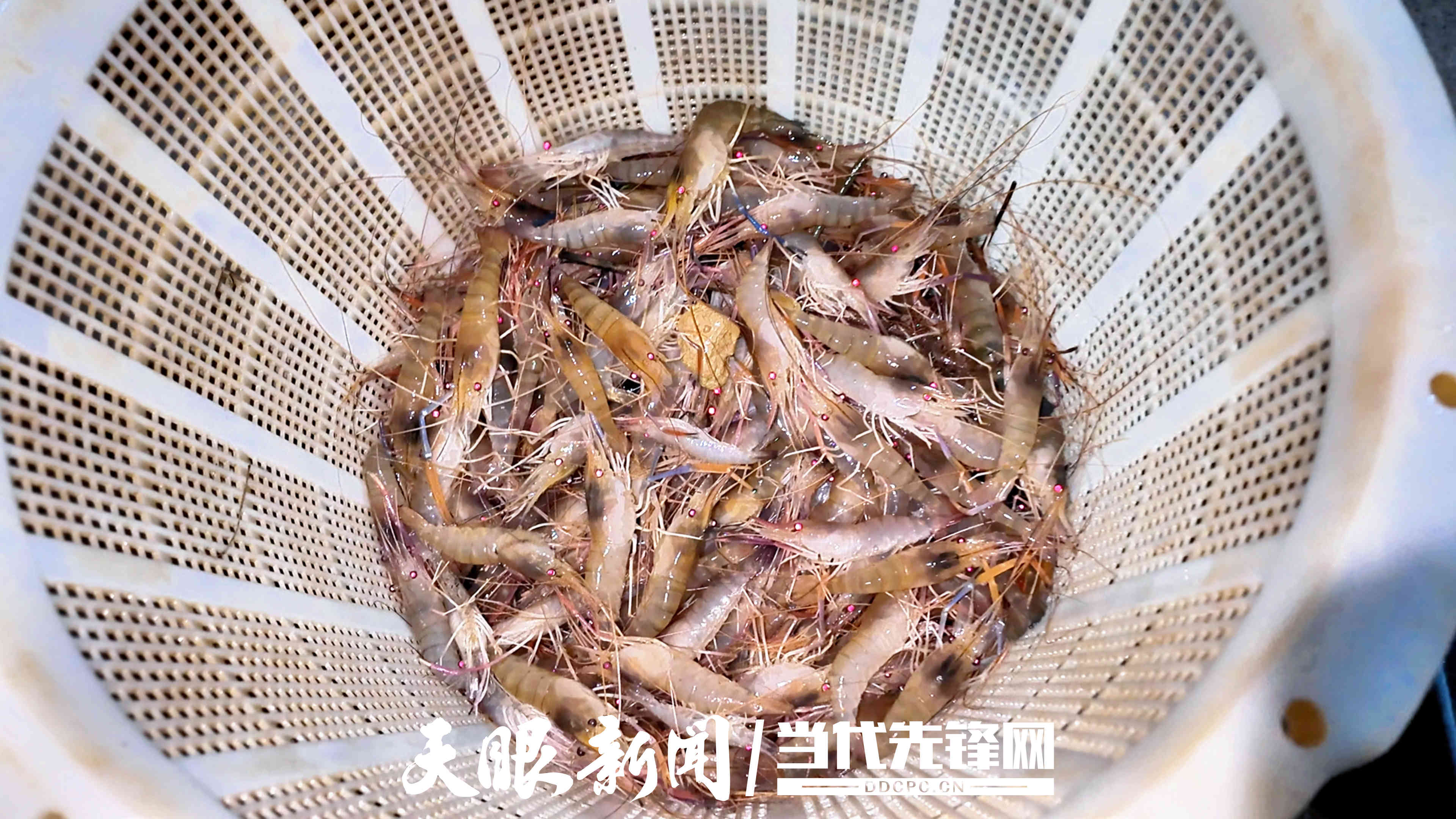 微信图片_20260815143811_178_40.jpg