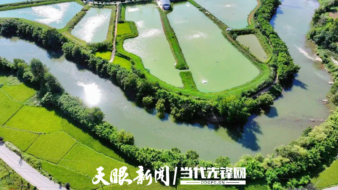 微信图片_20260815144012_183_40.jpg