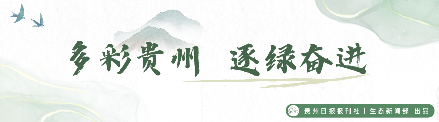 17872388656425.png biao.png