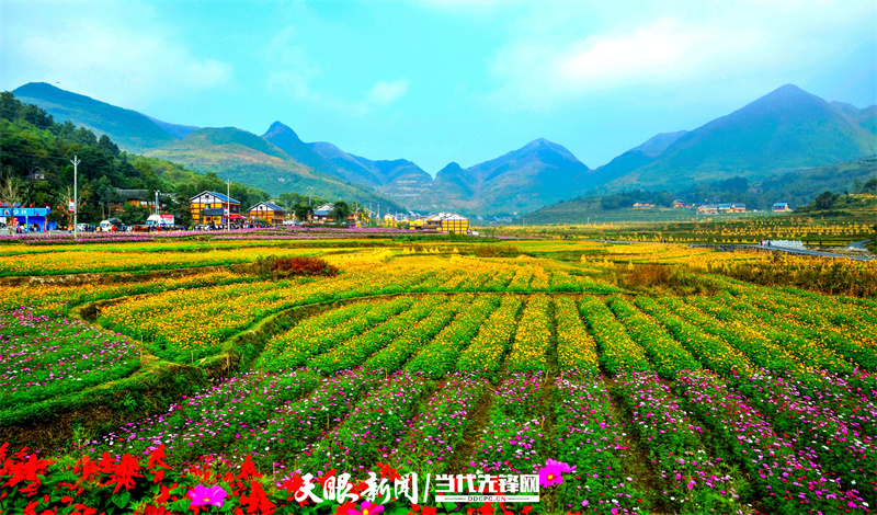 17858323991255.JPG 遵义市播州区花茂村新农村建设美景.JPG