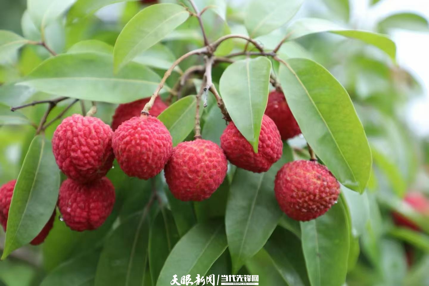 dD0xNzg1OTcwNjkyX3I9NjYyYTExZjhfdz0xMDgwX3E9MTAwX2U9anBn.webp 17859327331976.jpg