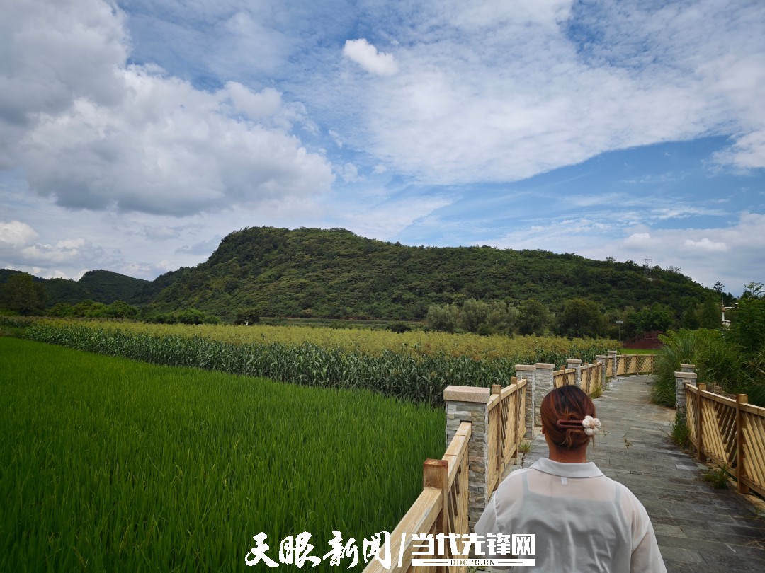 17859405803852.jpg 08e384c8332d1ff6a23502e0f9acbc56.jpg