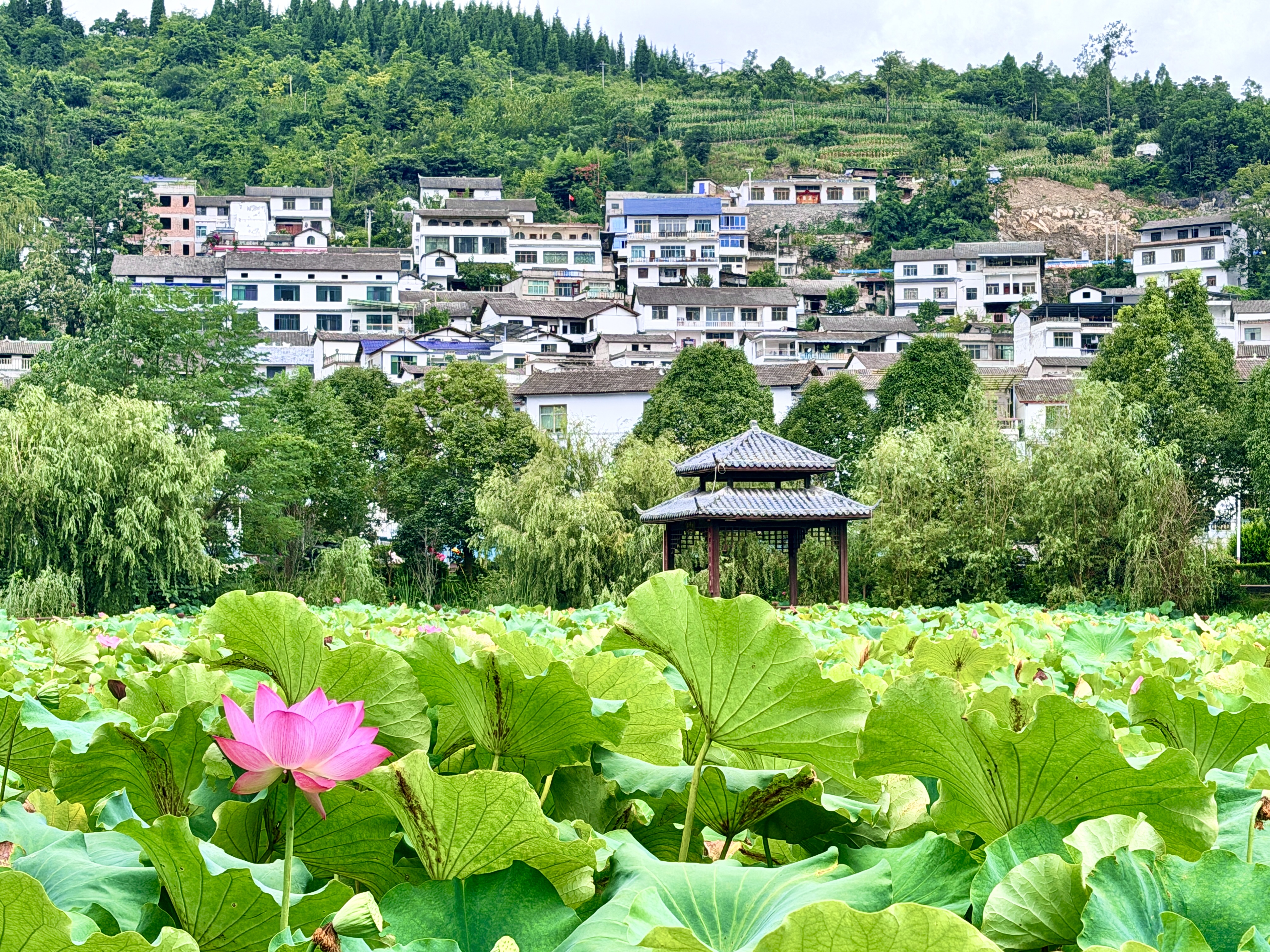 dD0xNzg2NjAzNjg4X3I9MDBlOWU1Y2Zfdz0xMDgwX3E9MTAwX2U9anBn.webp 微信图片_20260813144554_168_105.jpg