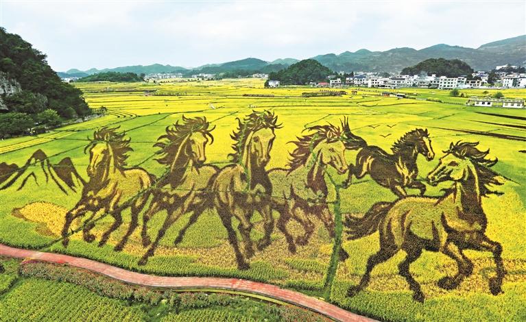 “昊禹·稻花乡里”依托千亩水稻基地打造。 盛朝友 摄（影像贵州）.jpg