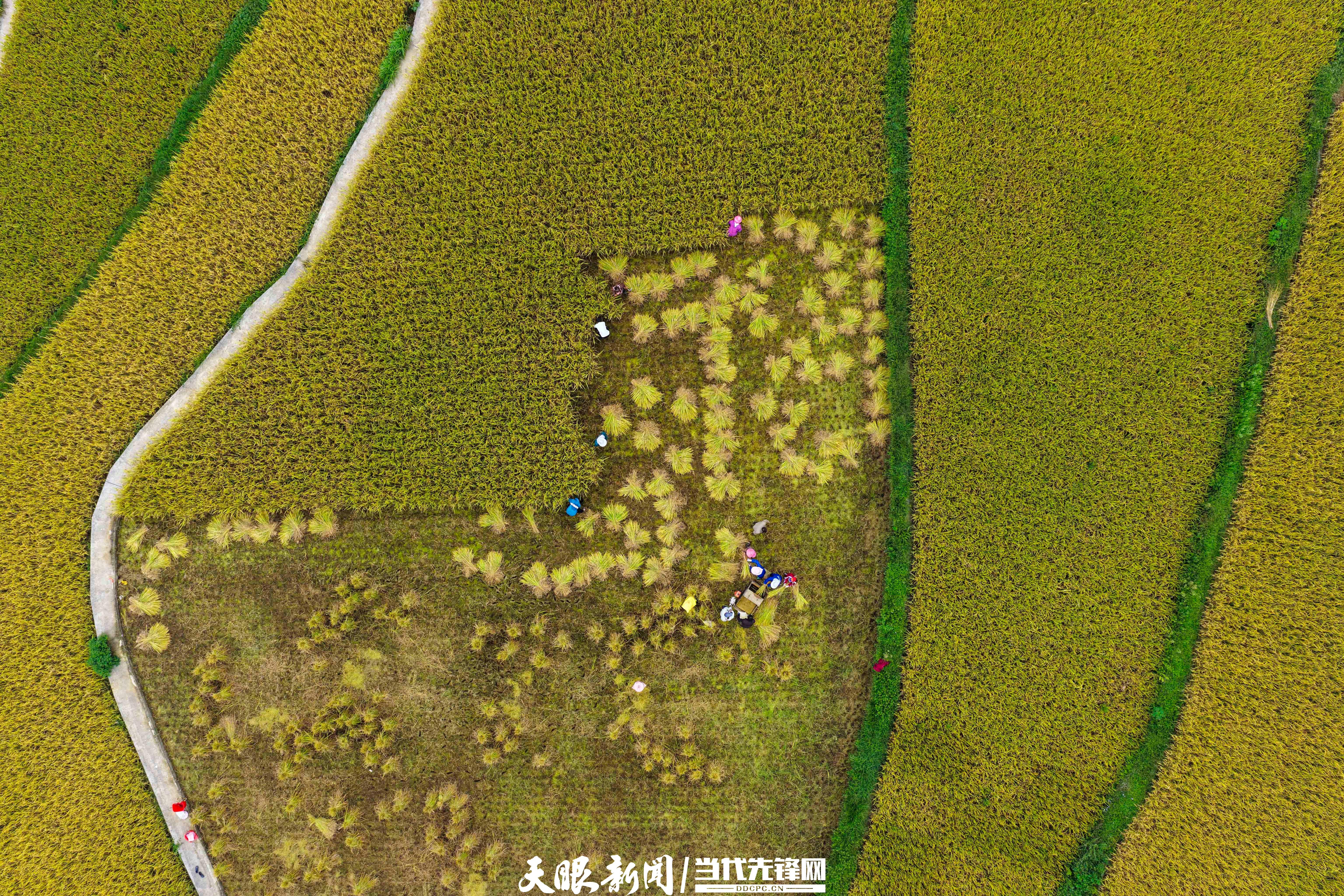 17899790373935.jpg