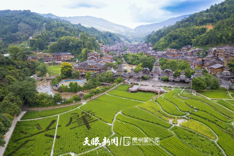 1026493-2026年8月28日，航拍贵州省黔东南苗族侗族自治州黎平县肇兴侗寨，创意稻田画、吊脚楼、鼓楼与青山相映成景，侗乡风光如画。(3).jpg