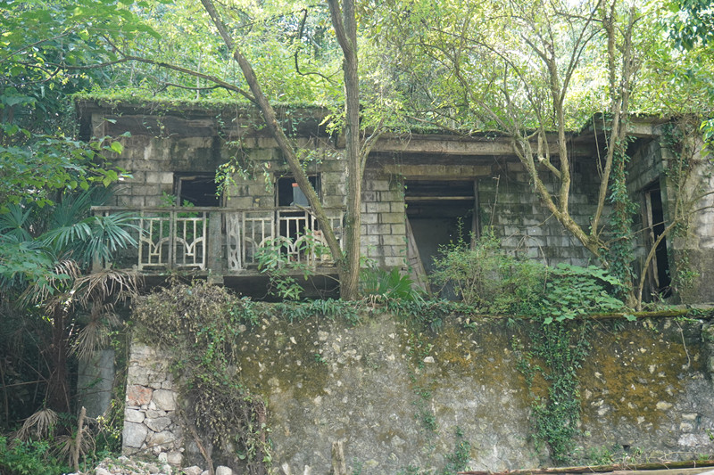 DSC04964_副本.jpg